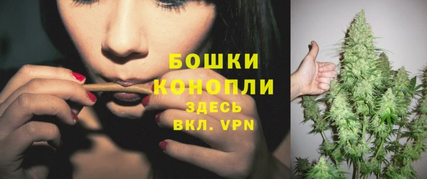 винт Богданович