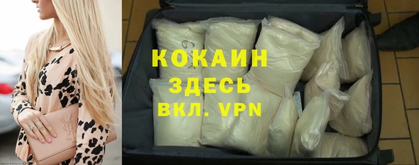 винт Богданович