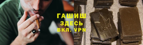индика Балахна