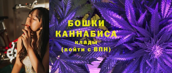 винт Богданович