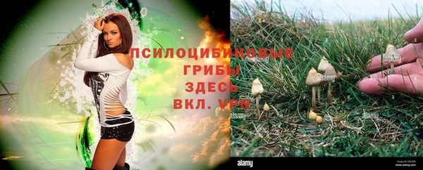 ешки Россошь