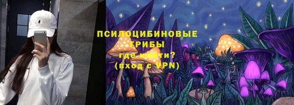 mdpv Рославль