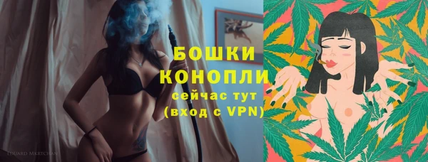 винт Богданович
